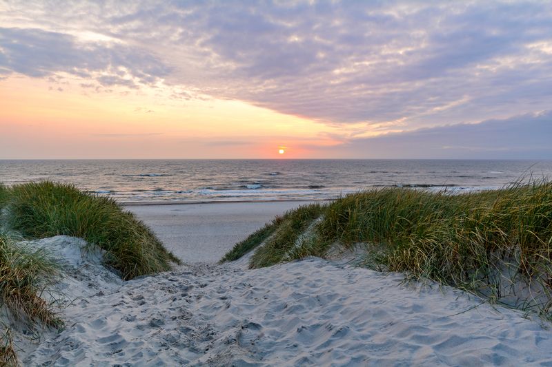 Urlaub 2021: Mietet schon jetzt die schönsten Ferienhäuser in Dänemark